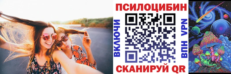 продажа наркотиков  Куровское  Галлюциногенные грибы мицелий 