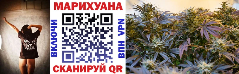 наркошоп  Куровское  Конопля VHQ 